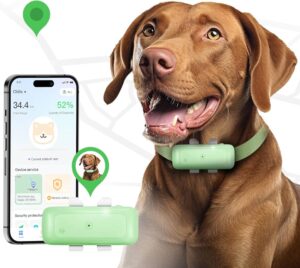 71tucjxn+3l. ac uf1000,1000 ql80 