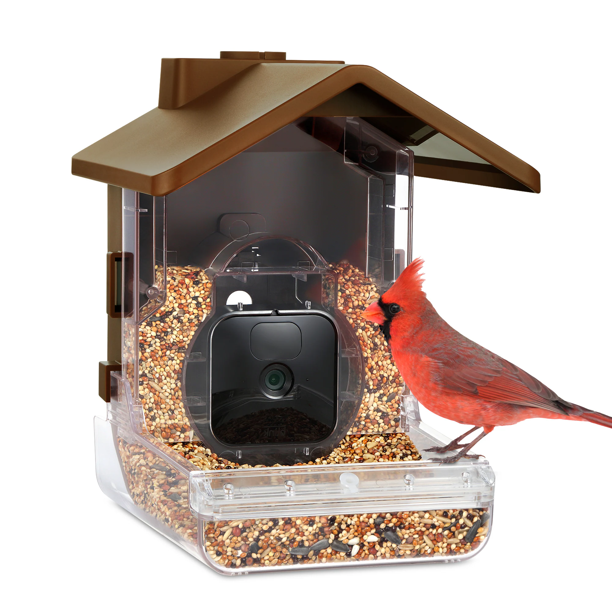 camera feeder testing