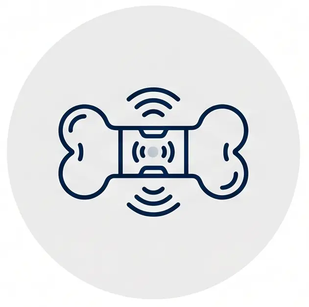 Interactive toy