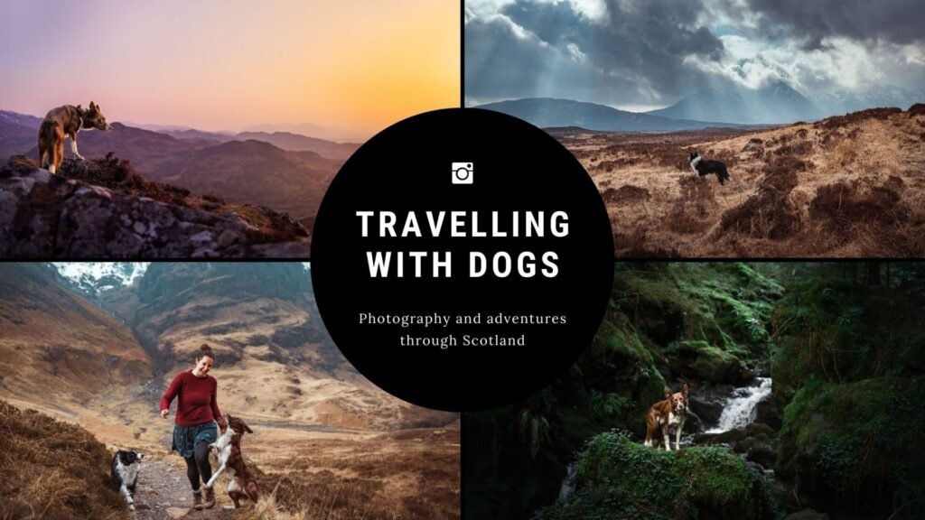 travelling with dogs 1920x1080