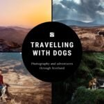 travelling with dogs 1920x1080