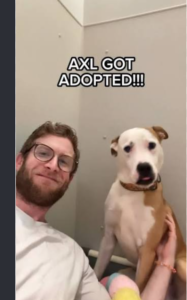 1.Axl the Backpacking Dog